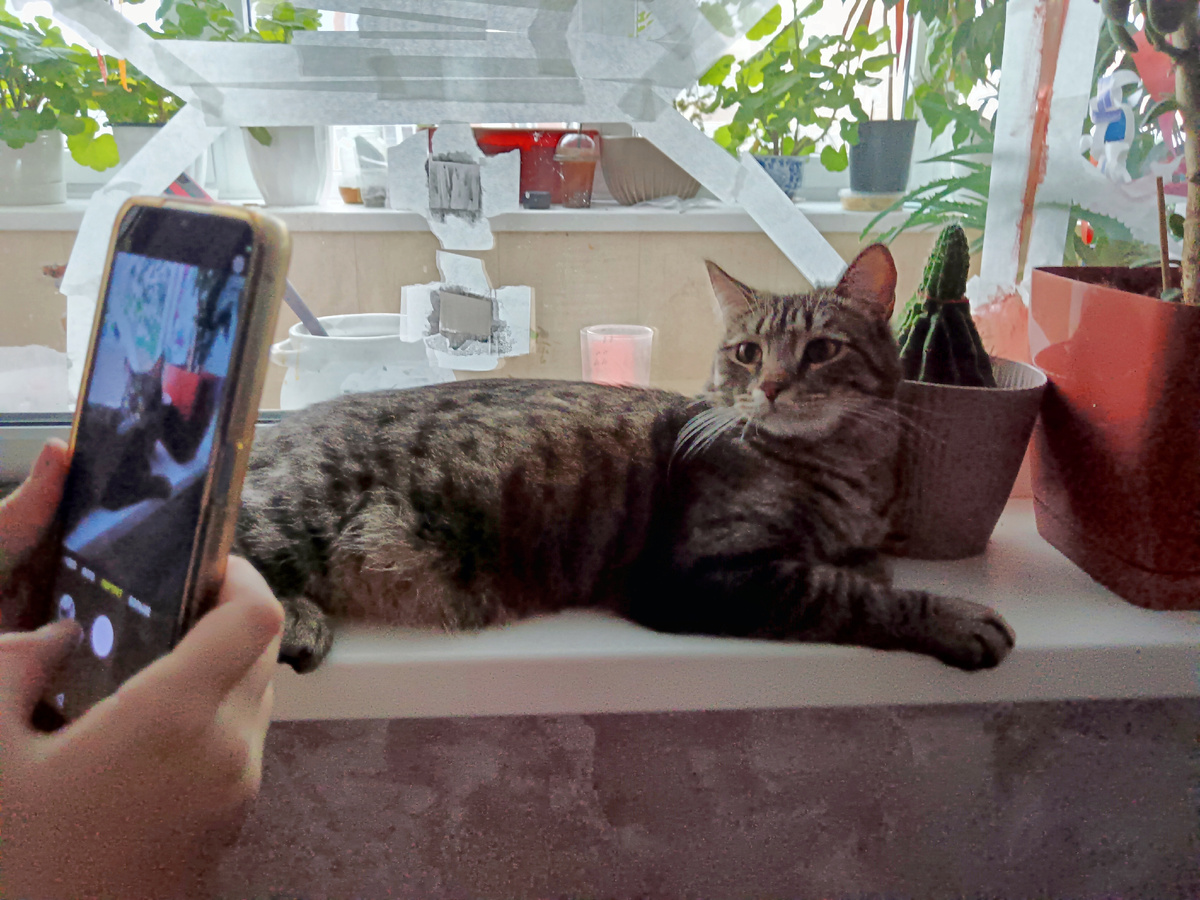 Дочкина подружка Лера просто обожает Сокола 😍