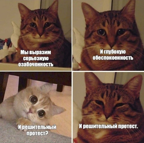    Интернет-мем