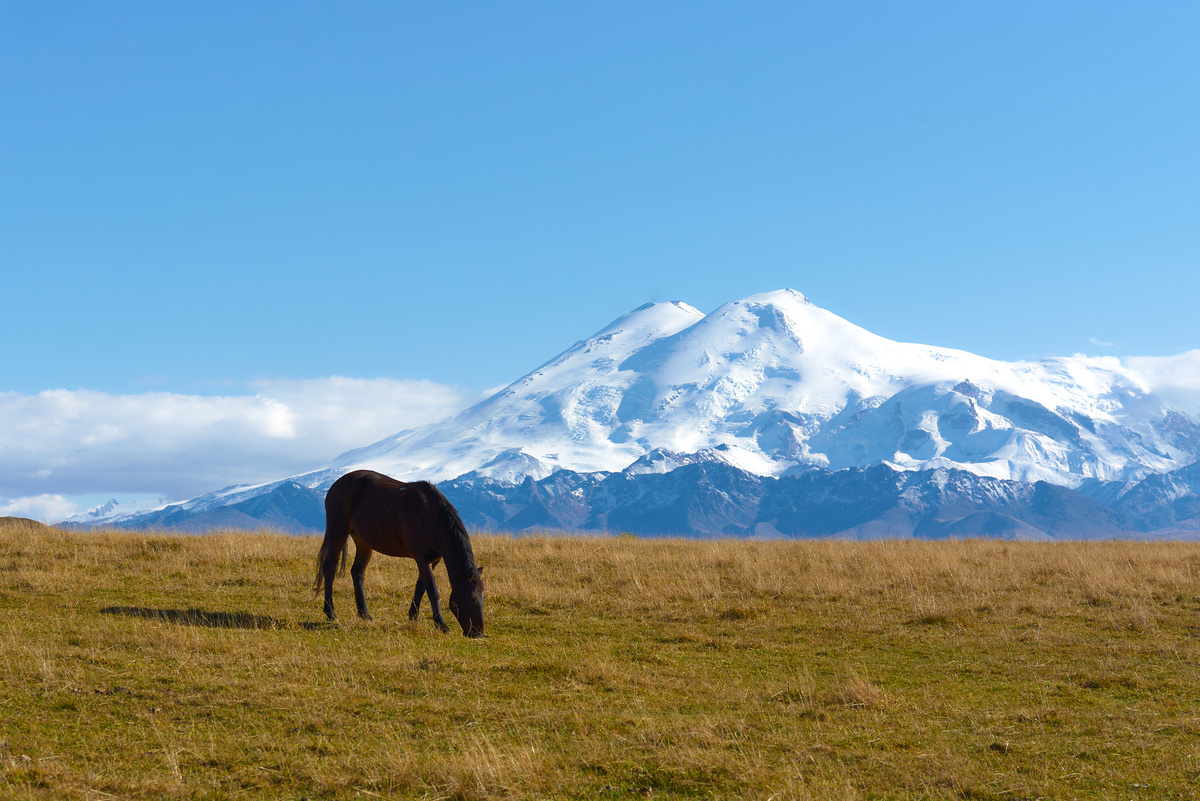 Источник фото: Пикабу