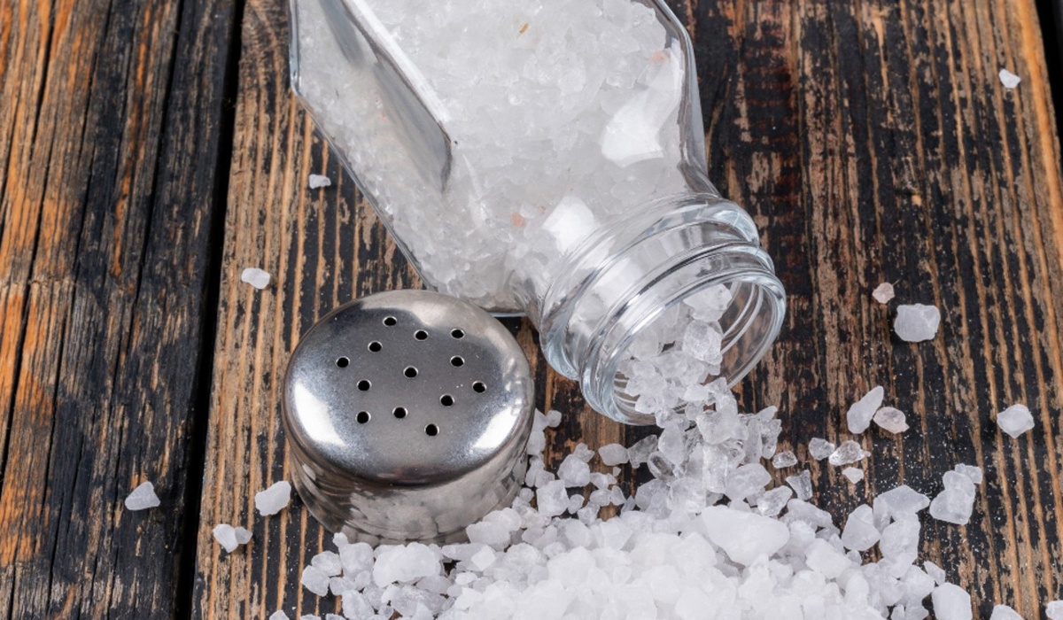    Фото: freepik.com