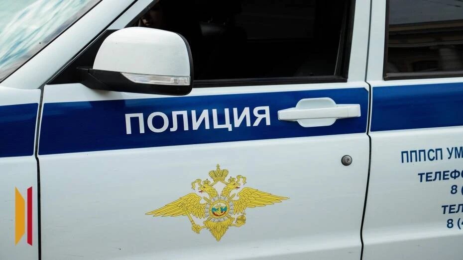    Автор фото: Виктория Курляндская (из архива)