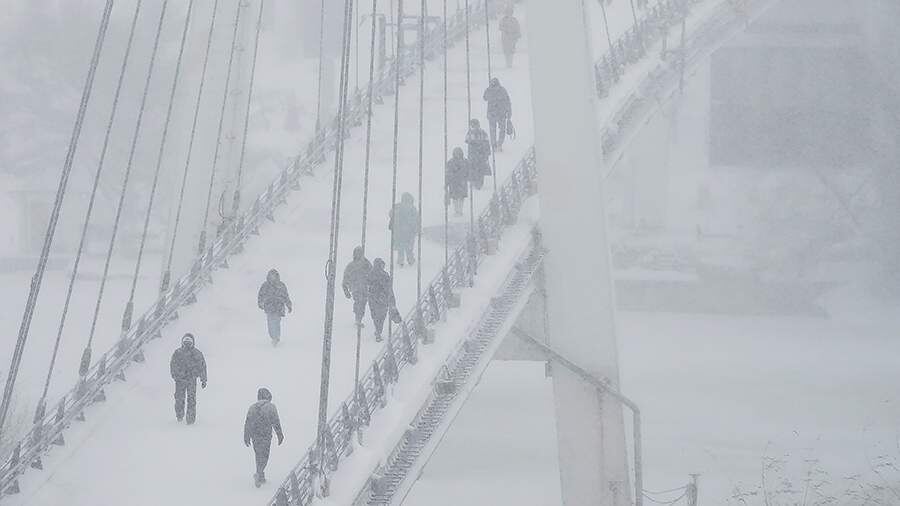    Фото: ИЗВЕСТИЯ/Дмитрий Коротаев