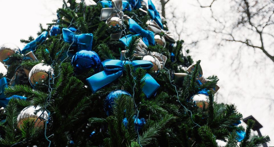    Новогодняя елка в парке культуры и отдыха «Свердловский» поселка Свердловский Лосино-Петровского округа зимой / Медиасток.рф