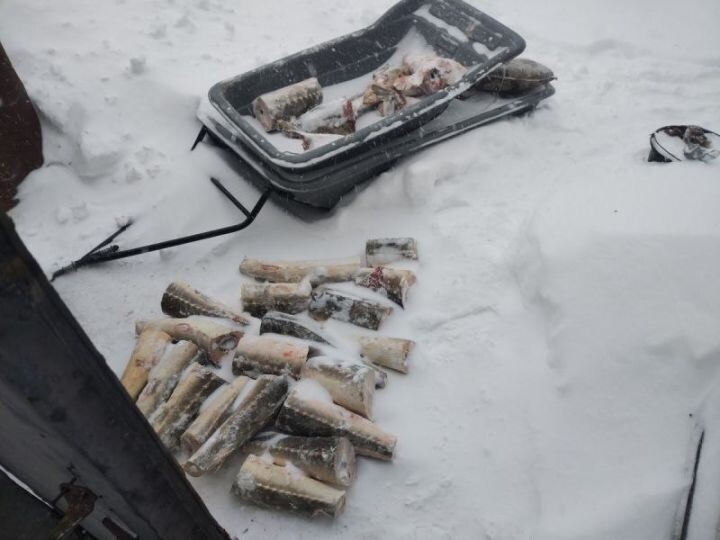    Фото:Пресс-служба полиции Хабаровского края