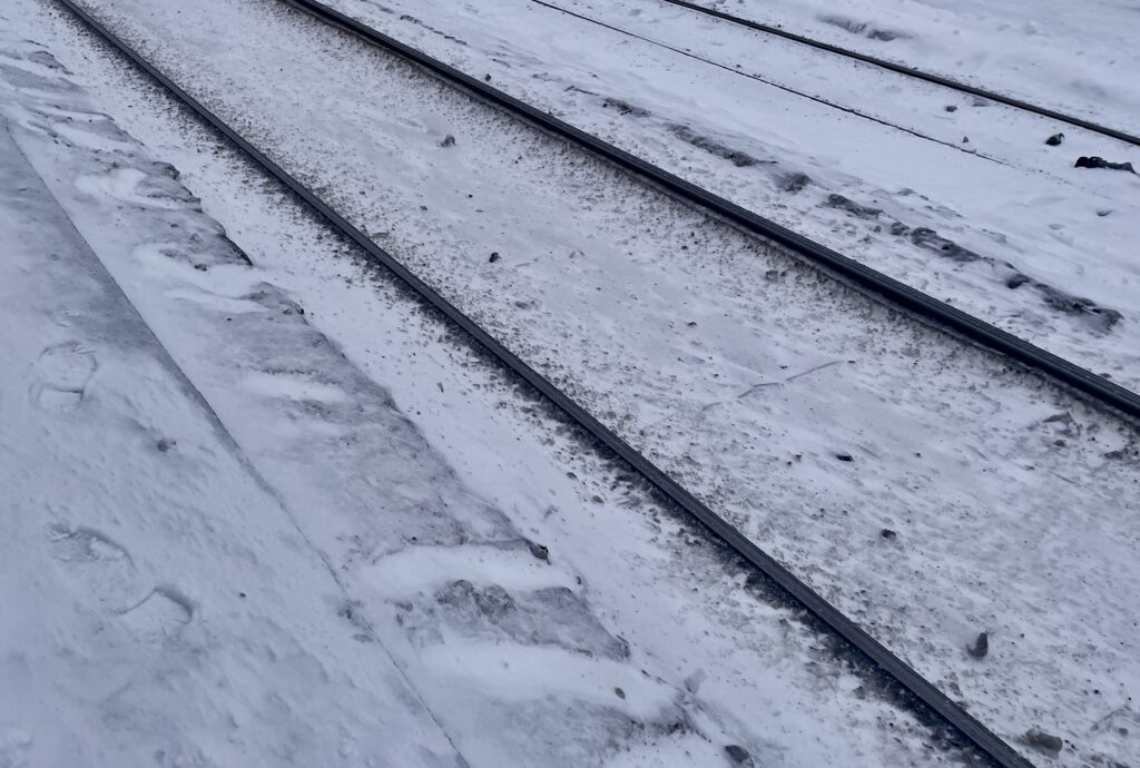    Фото: В курсе.ру Ульяна Бажанова