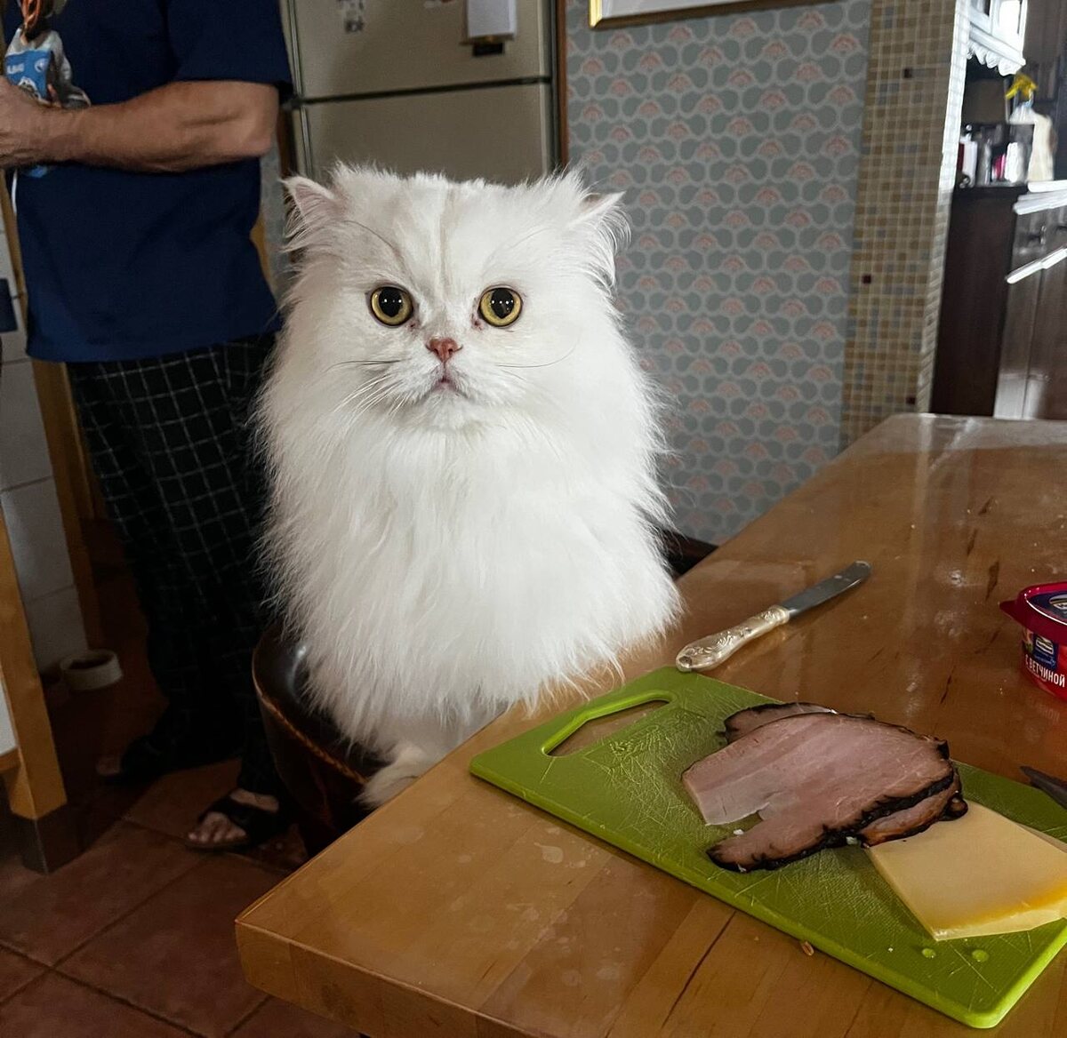 Мальчик ждет пока ему дадут вкусняшку