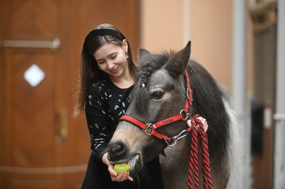    На яблоках гадаем, вам лучшего желаем! Алексей БУЛАТОВ