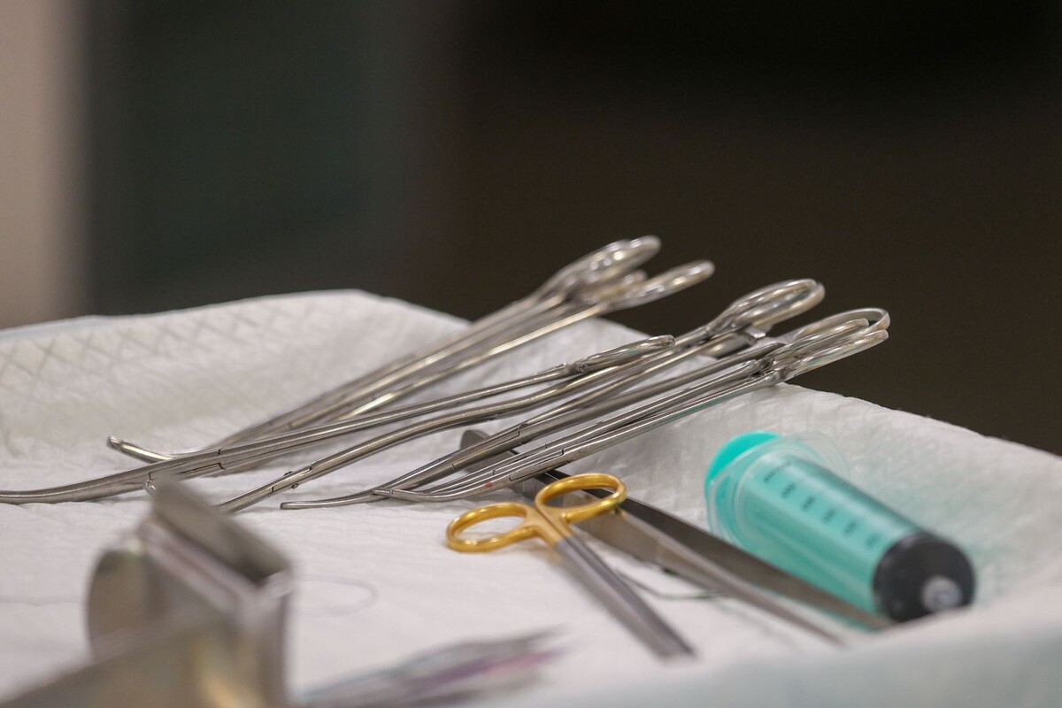     / Источник: © Global Look Press