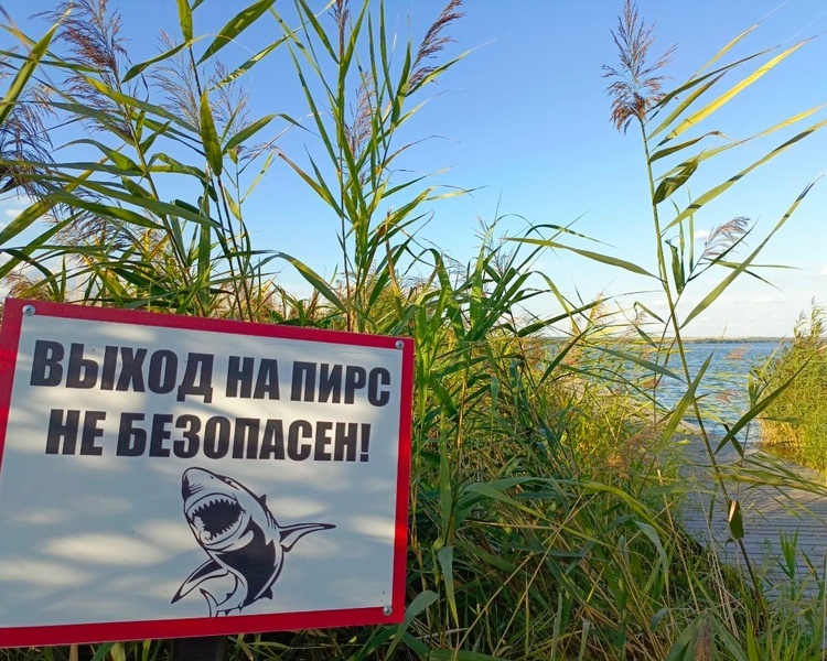     В Курской области депутаты захватили береговую линию Старооскольского водохранилища