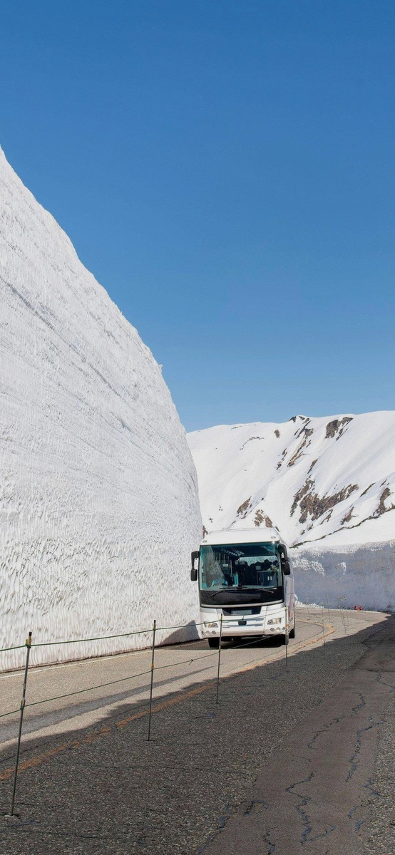 Домой из Цхети