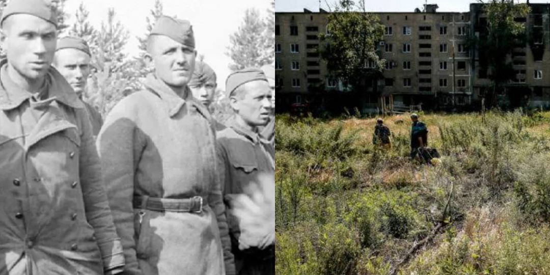 Посёлок Дикий. Как дезертиры Красной армии создали свою собственную деревню в лесах