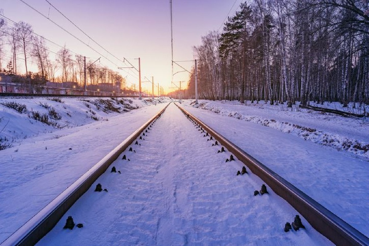    Фото: istockphoto/Serjio74