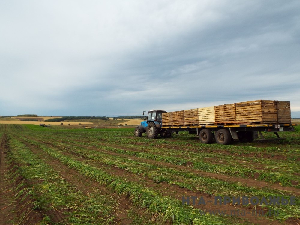    Чувашия в 2025 году экспортировала около 25,2 тыс. т. аграрной продукции