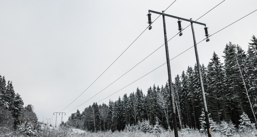    Фото: сайт Freepik