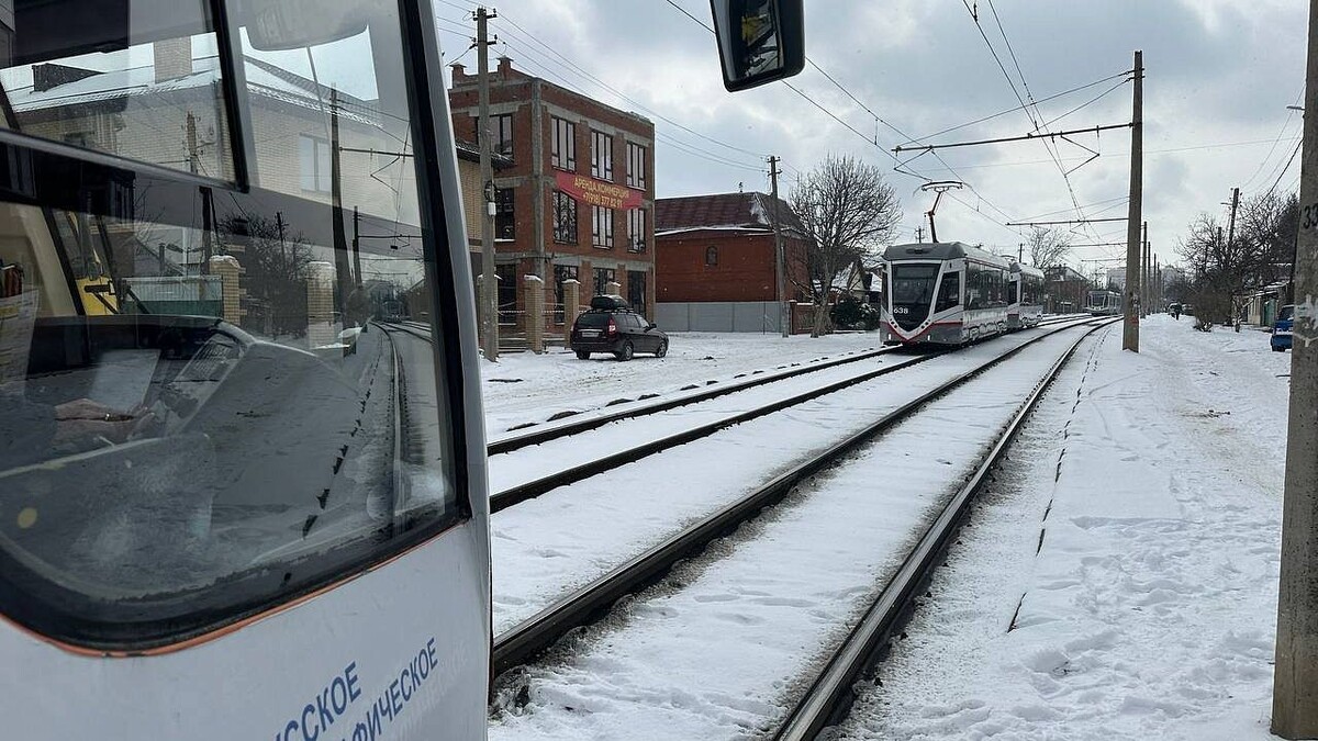    Фото: телеканал «Краснодар»