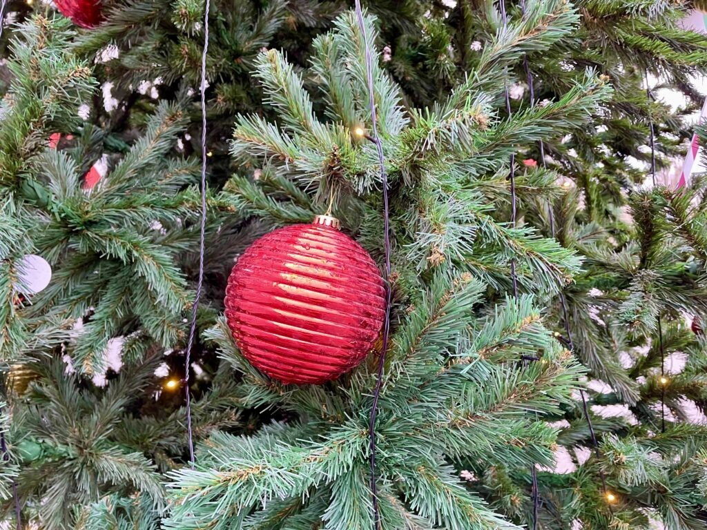    Фото: В курсе.ру Ульяна Бажанова