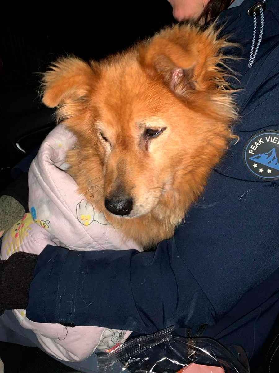    Фото: Фаниполь Бай / Telegram