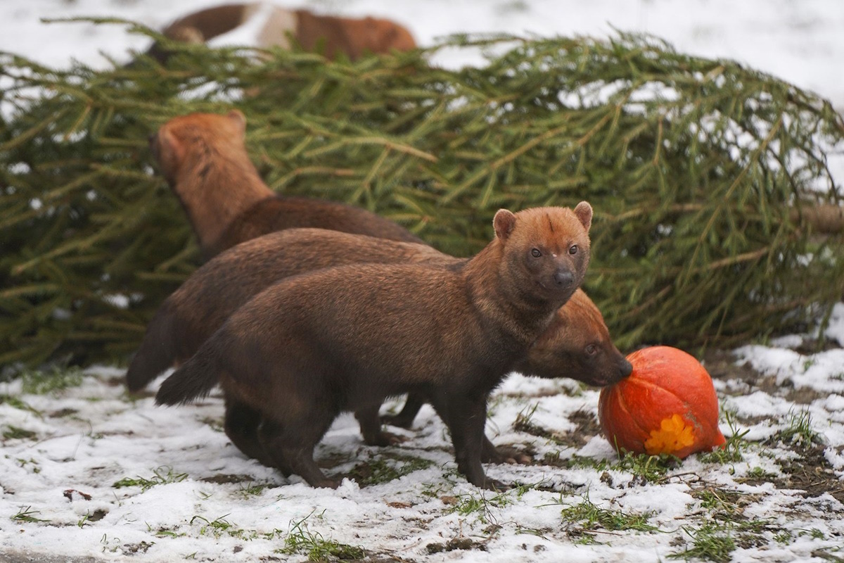    Фото: Евгений Самарин, источник: мos.ru
