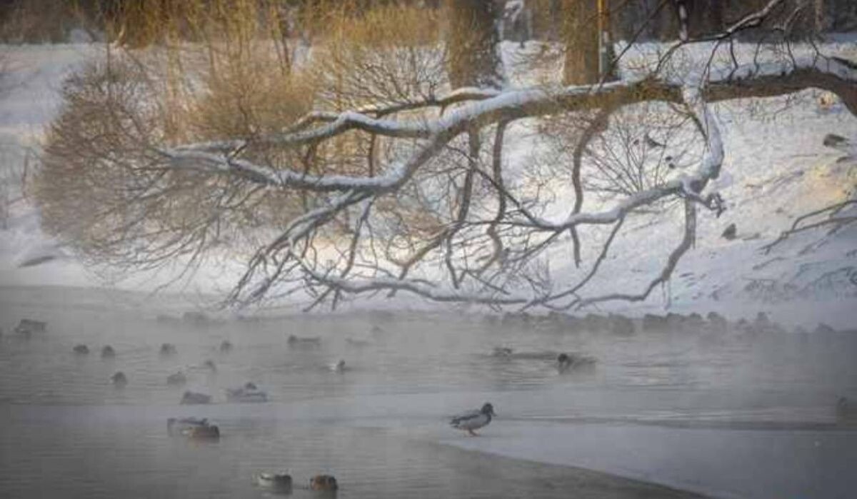     Водоем. Источник: e1.ru Автор фото: Владислав Лоншаков / E1.RU