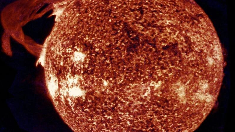    Фото: Everett Collection/Shutterstock/Fotodom