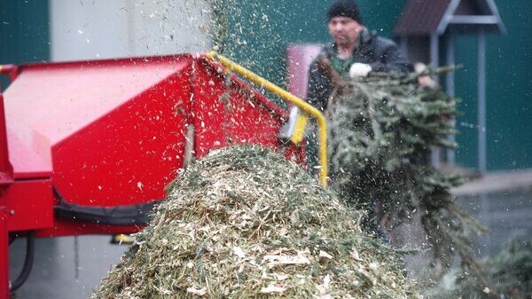    © Sputnik / Евгений Одиноков