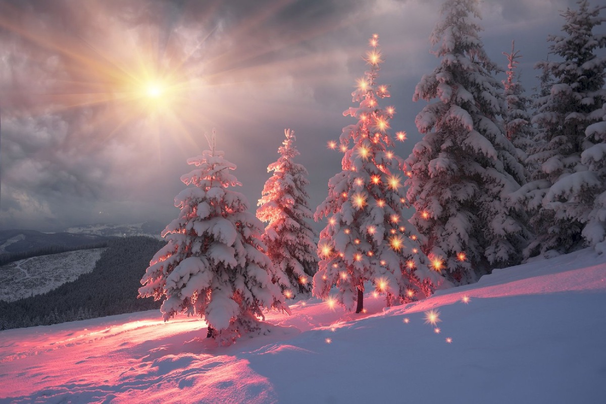    Фото: iStock/ panaramka