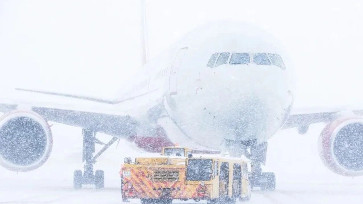    Фото: Makukds/Shutterstock/Fotodom