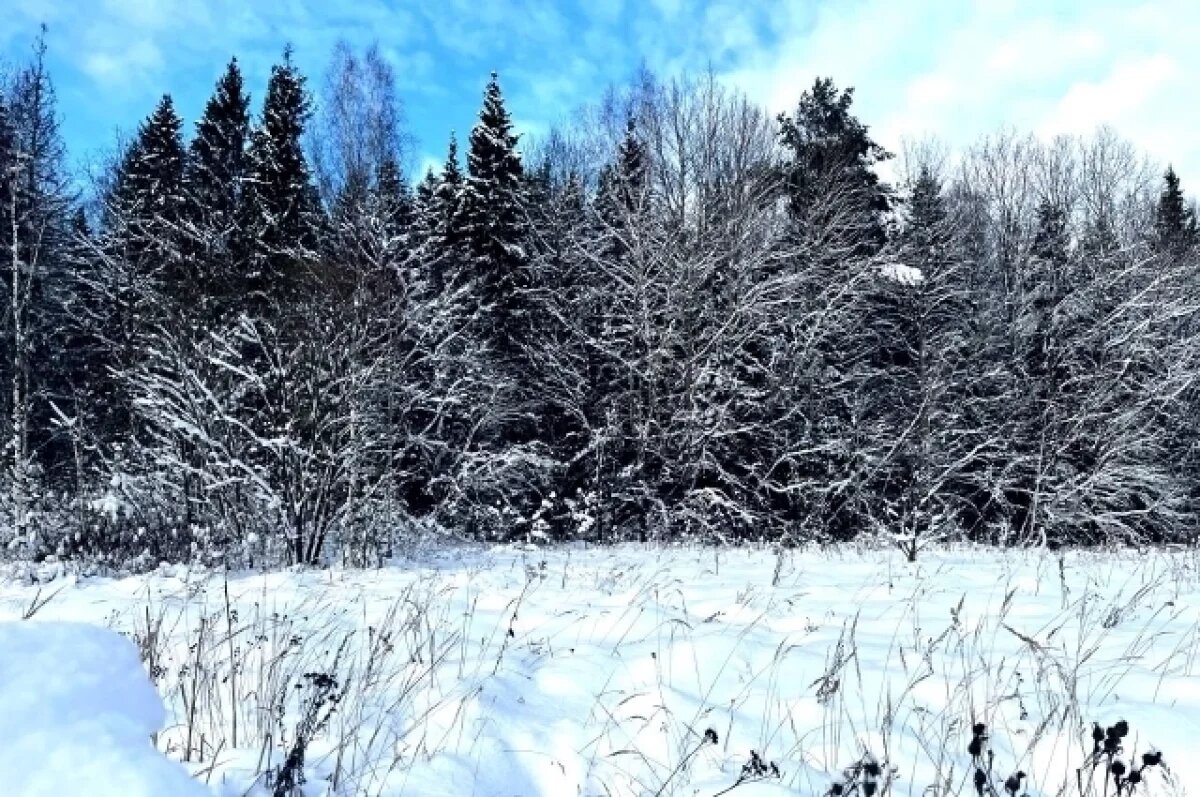    Высота снежного покрова в Туле в разы выше средних многолетних значений
