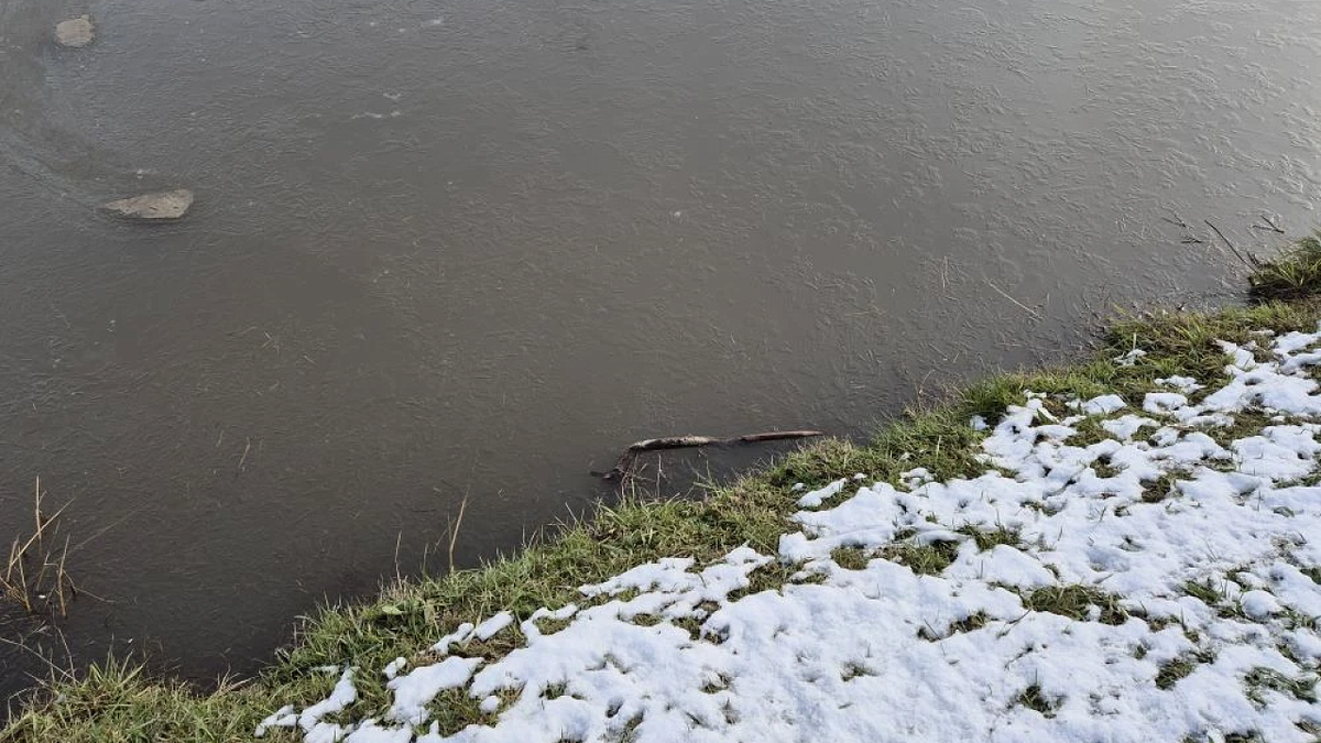    Фото: телеканал «Краснодар»