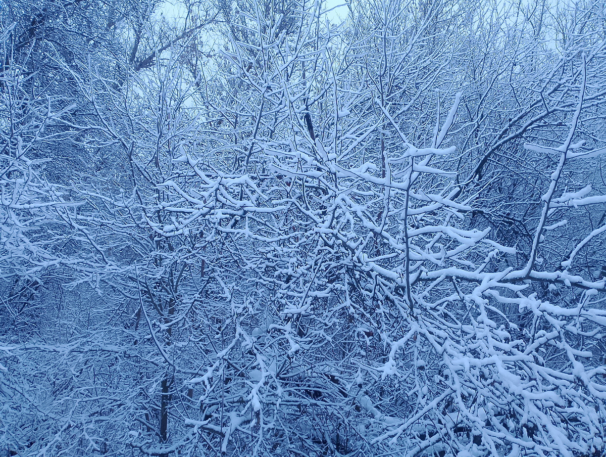 7:30 12.01.26. Фото автора