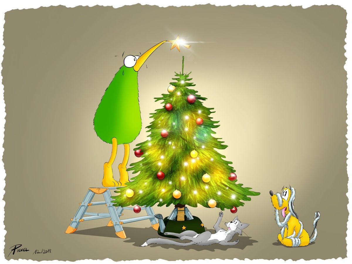 Источник изображения : Яндекс картинка.