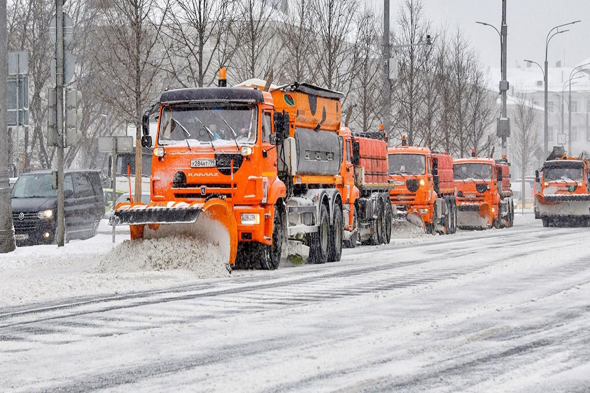    Фото: Юлия Иванко, источник: мos.ru