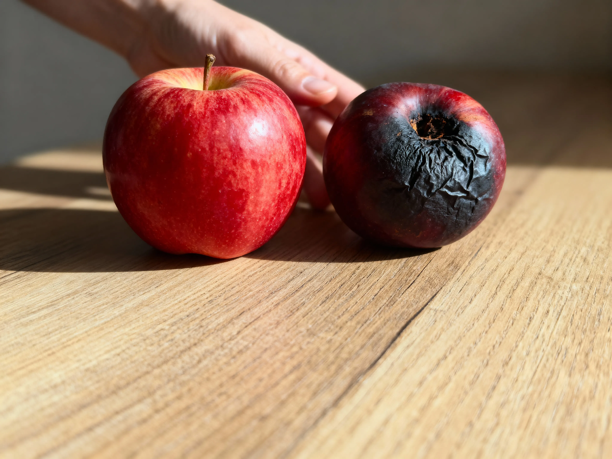 «Два яблока на столе Айболита — наглядный урок о сути диабета. Это не приговор качеству, а лишь особые условия, требующие своего, более мудрого рецепта на жизнь.» 🍏🔍