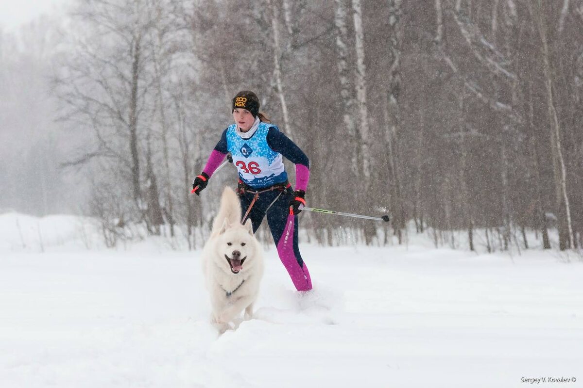   Фото: Новосибирский зоопарк