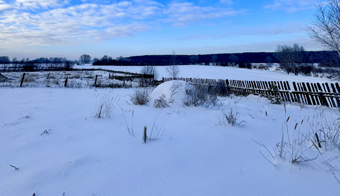 Источник: Новое.Медиа

