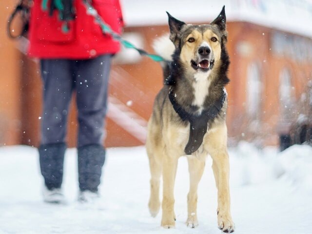    Фото: 123RF.com/darksoul72