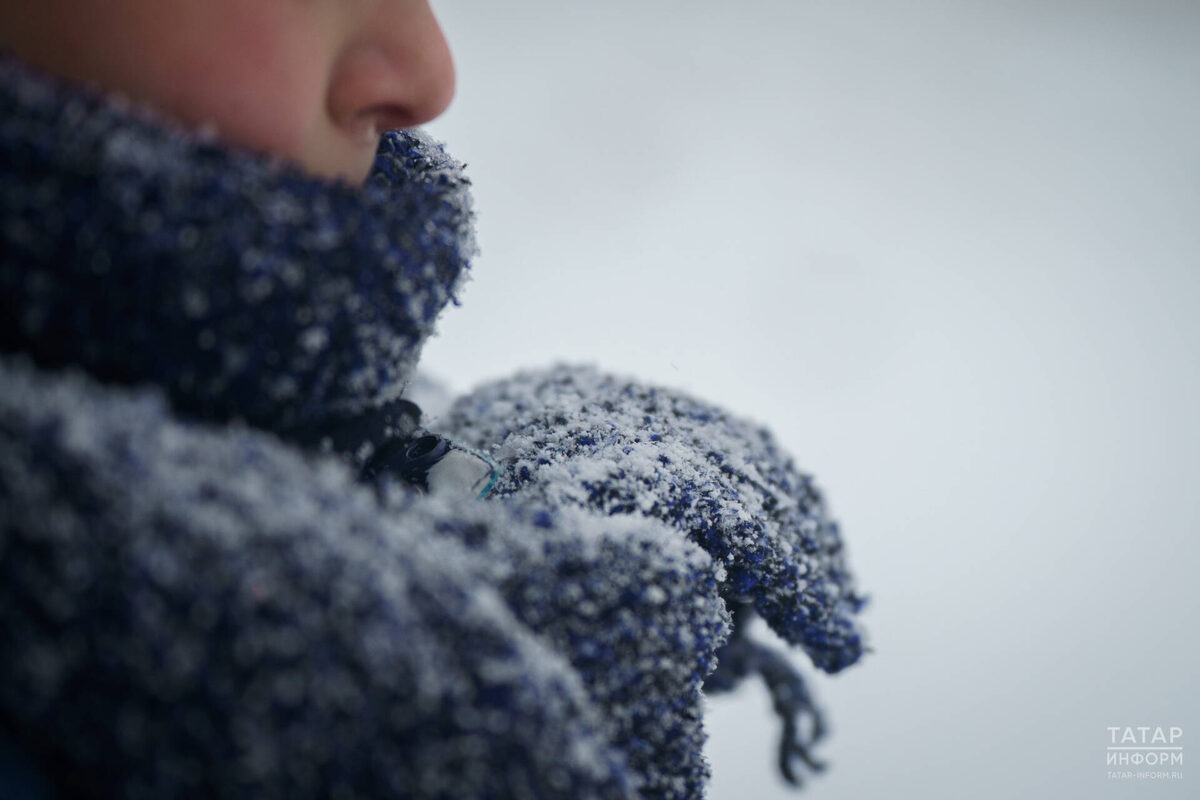 Фото: © Владимир Васильев / «Татар-информ»