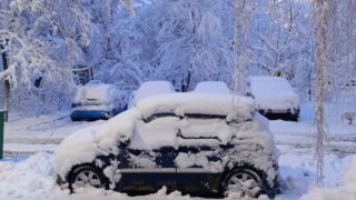    Людмила Лата Юлия Виноградова