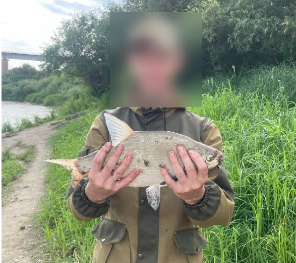 От спиннинга к фидеру.