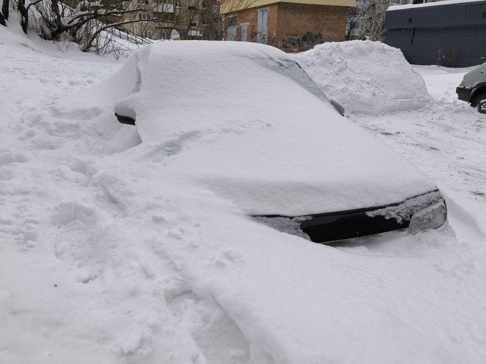   Анна КОВАЛЁВА