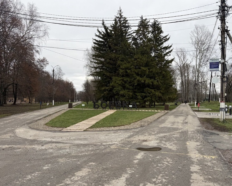     В Курске «Парк альпак» построят без ущерба для природы