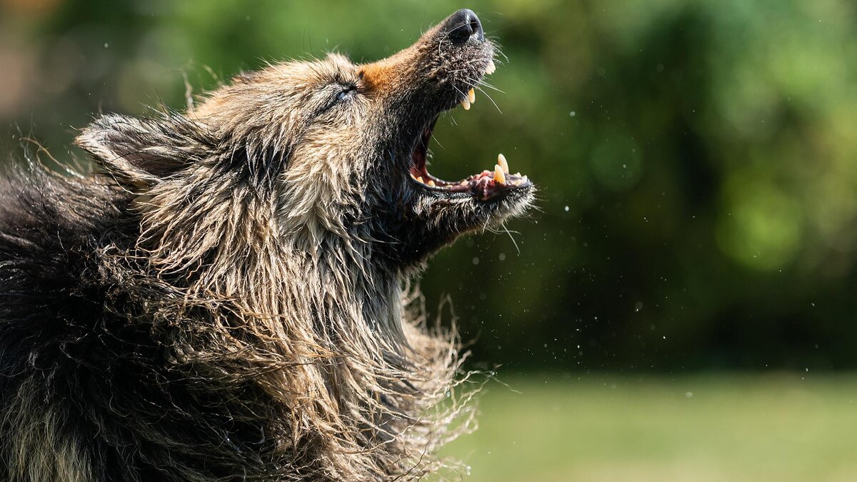    Фото: Silas Stein/globallookpress.com