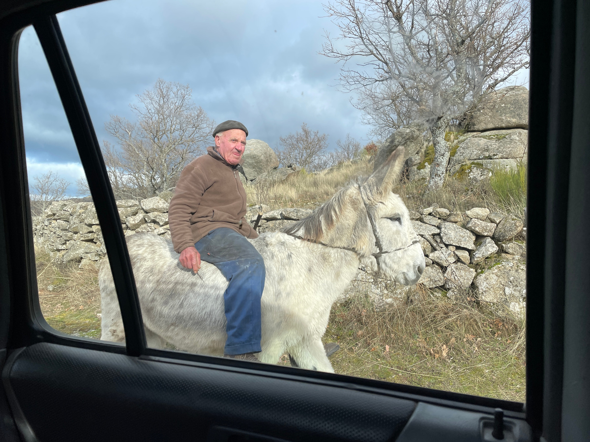Колоритный мужичок с осликом и двумя собаками