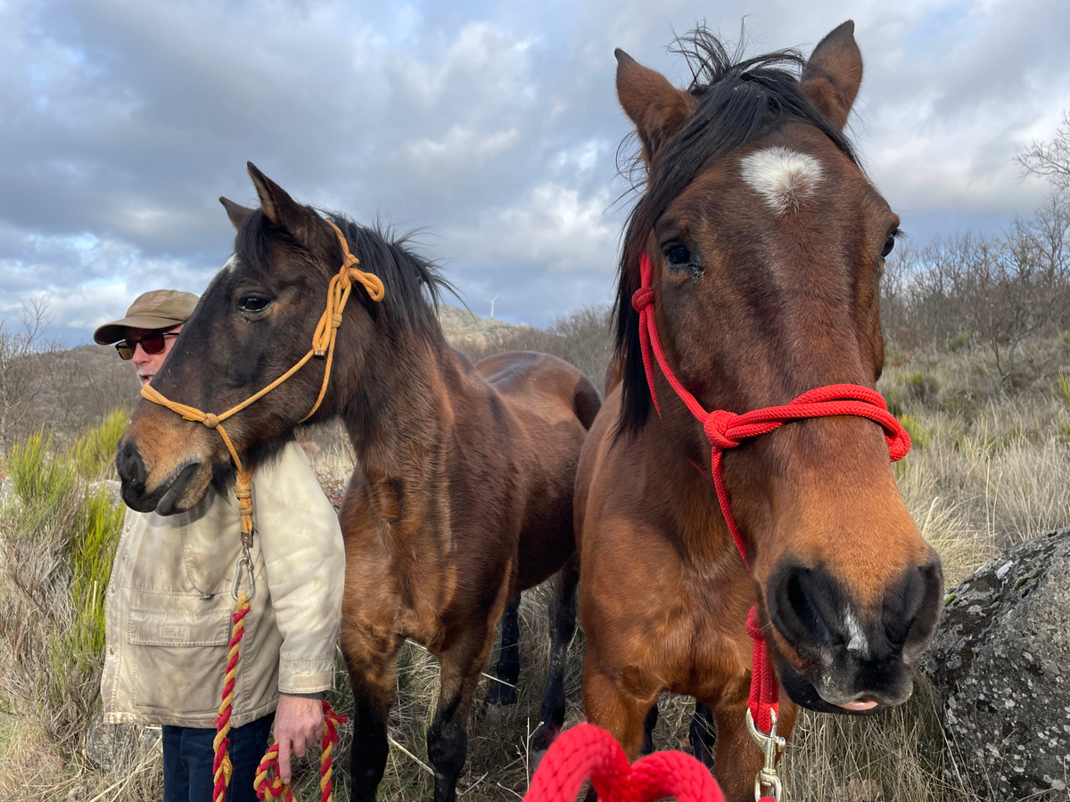 Сами пришли на зов. Уже неполохо