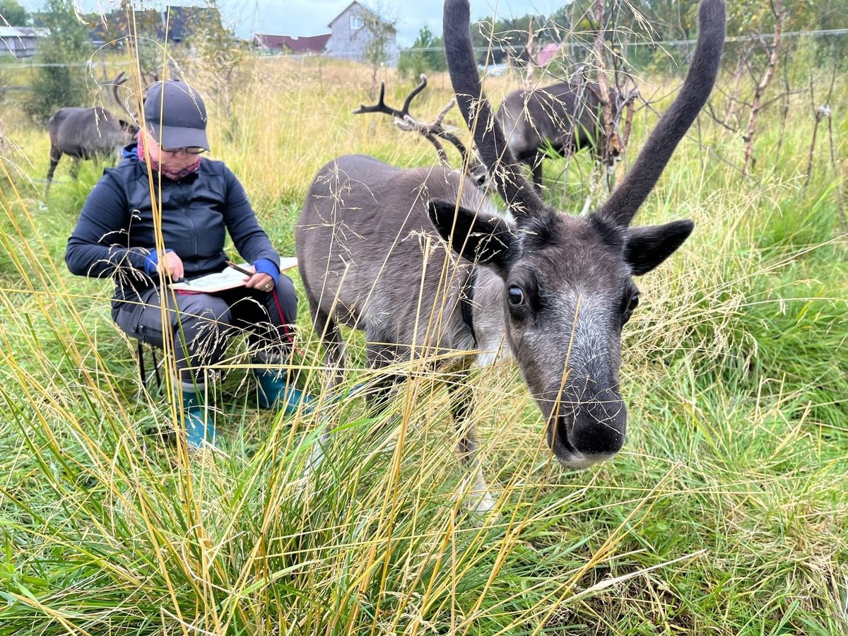    фото: © Минэкономразвития Карелии