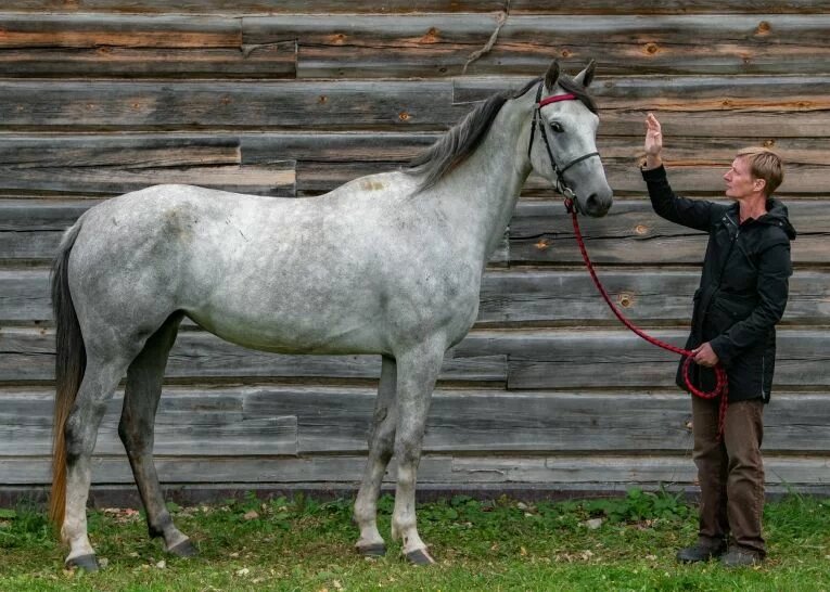 Марьяна Давыдова с лошадью Земляникой.