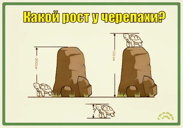 🐢 Угадай рост черепахи: реши числовую загадку!