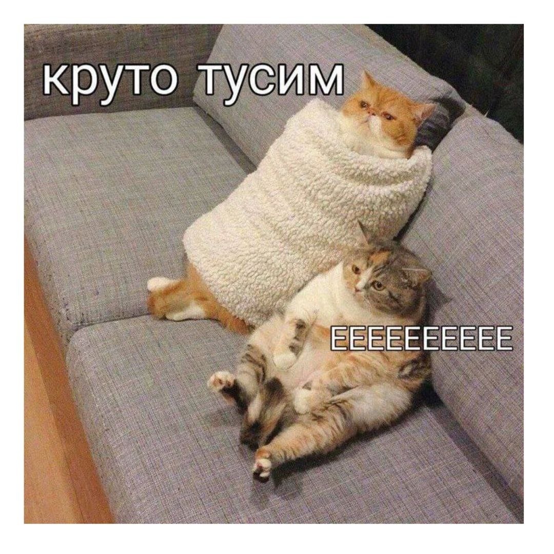 И как можно такую классную тусовку променять на холодную улицу и толпы людей 🤣🤣