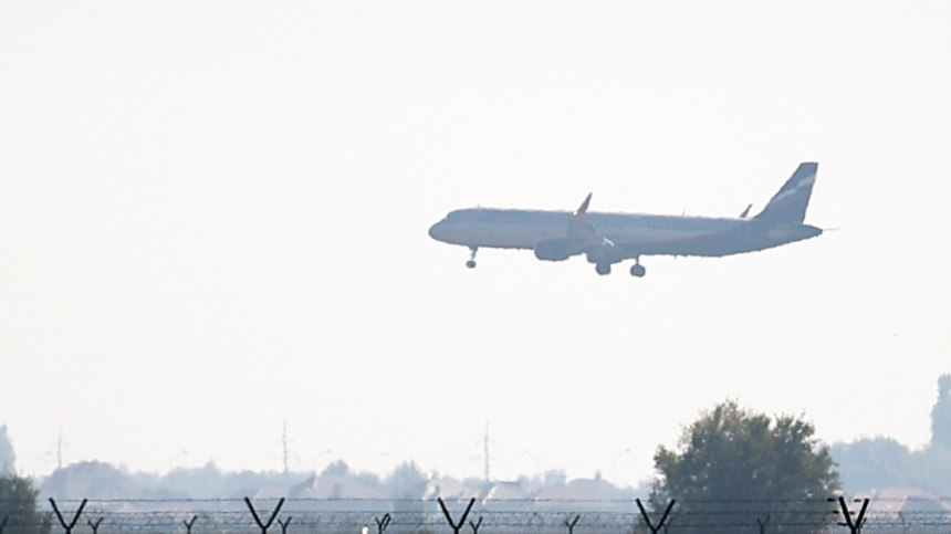    Фото: © РИА Новости/Виталий Тимкив