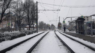    Элина Болдырева Юлия Виноградова